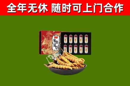 松溪烟酒回收冬虫夏草礼盒.jpg